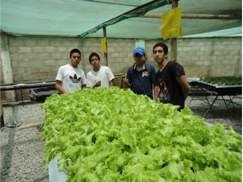 La Fondation Père-Ménard contribue au financement de l'atelier de culture hors sol du Centre d'Intégration des mineurs abandonnés (CIMA), situé dans le district de Cieneguilla dans l'Est de Lima au Pérou.